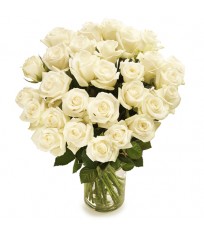 Μπουκέτο με λευκά τριαντάφυλλα